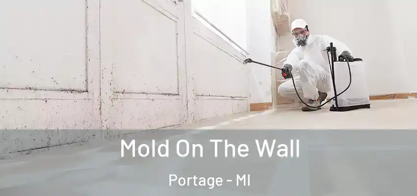  Mold On The Wall Portage - MI