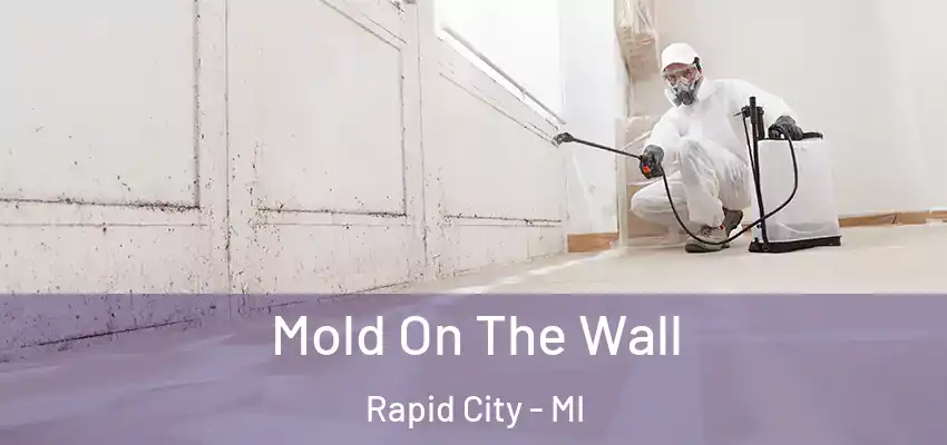  Mold On The Wall Rapid City - MI