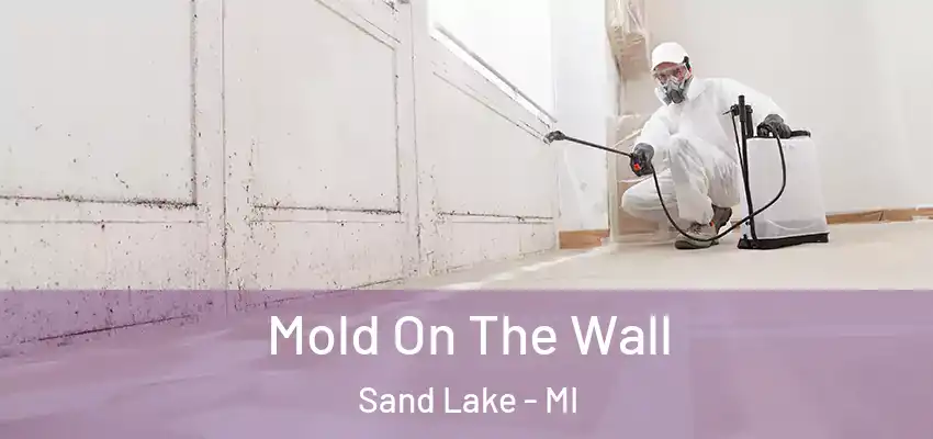 Mold On The Wall Sand Lake - MI