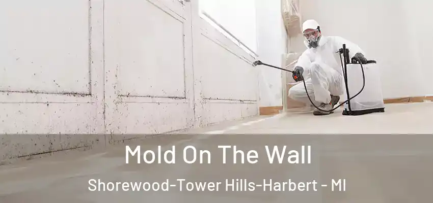  Mold On The Wall Shorewood-Tower Hills-Harbert - MI