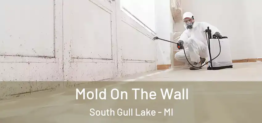 Mold On The Wall South Gull Lake - MI