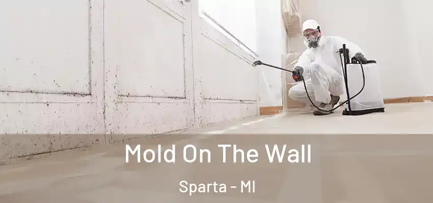  Mold On The Wall Sparta - MI