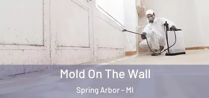 Mold On The Wall Spring Arbor - MI