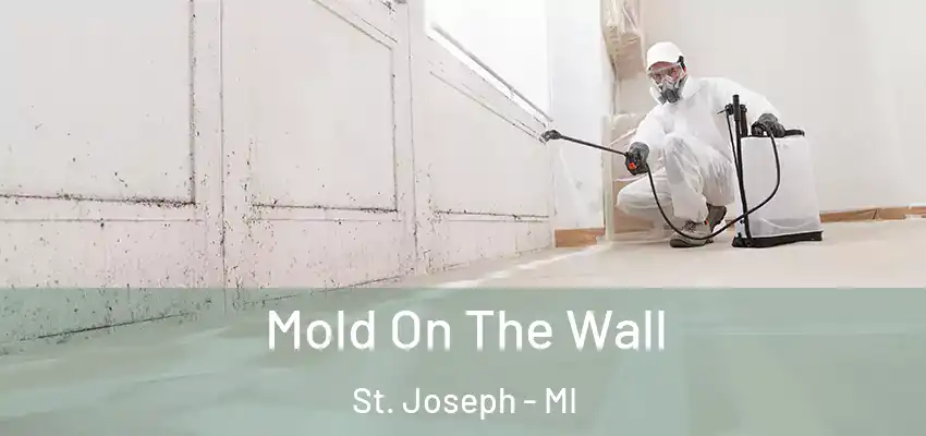  Mold On The Wall St. Joseph - MI