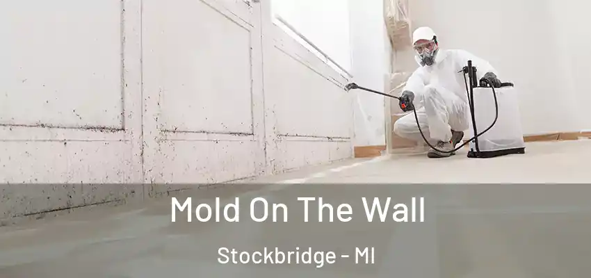  Mold On The Wall Stockbridge - MI