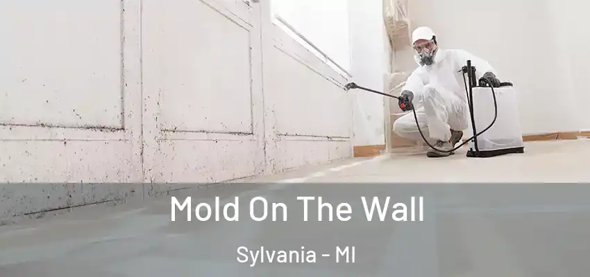  Mold On The Wall Sylvania - MI