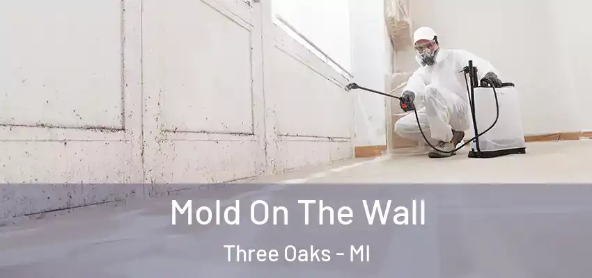  Mold On The Wall Three Oaks - MI