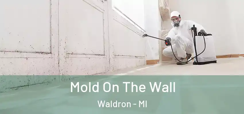 Mold On The Wall Waldron - MI