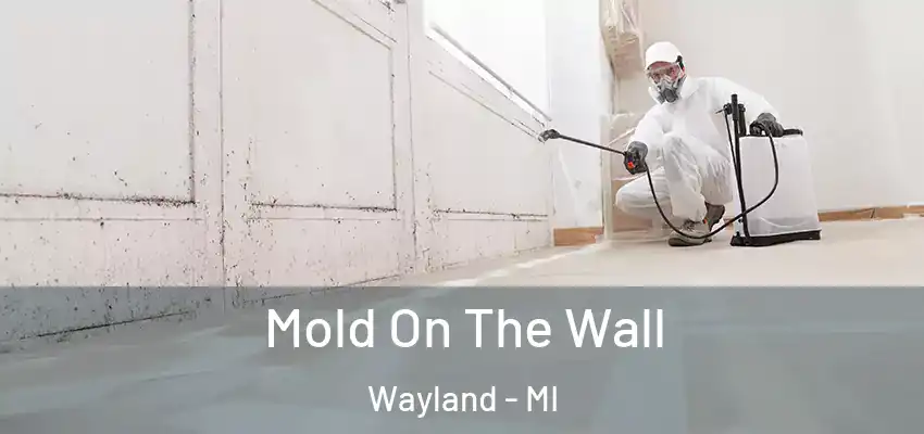 Mold On The Wall Wayland - MI