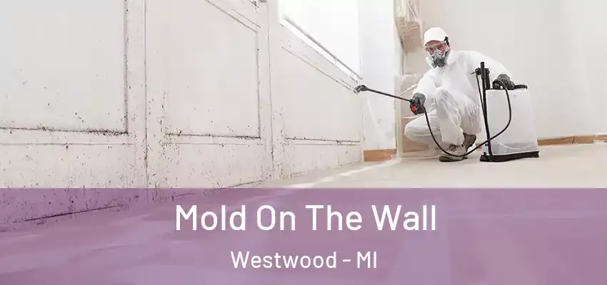 Mold On The Wall Westwood - MI