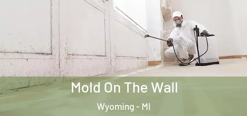 Mold On The Wall Wyoming - MI