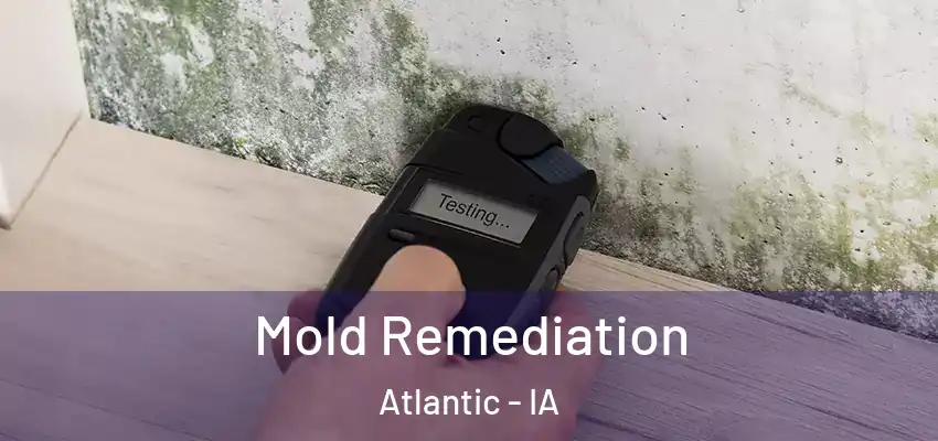  Mold Remediation Atlantic - IA