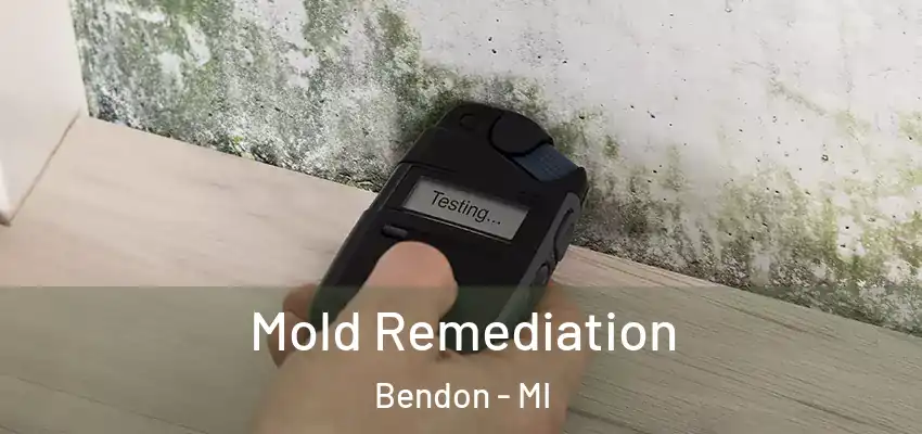  Mold Remediation Bendon - MI