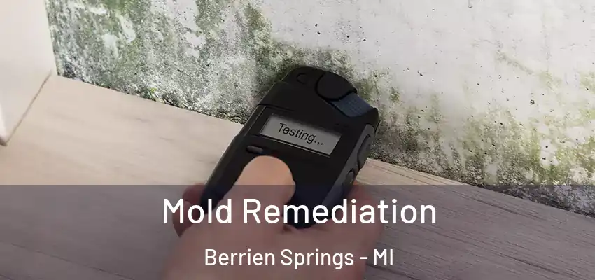 Mold Remediation Berrien Springs - MI