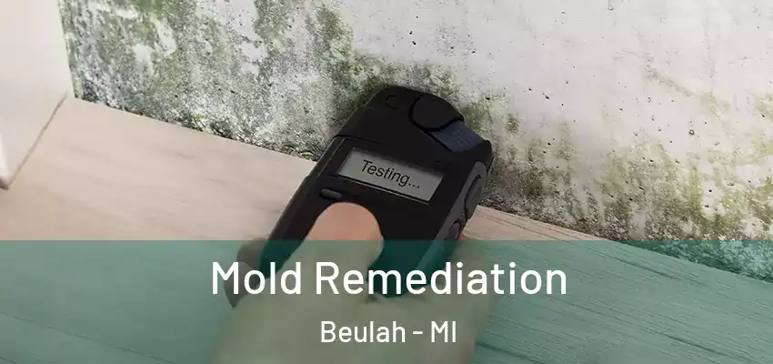  Mold Remediation Beulah - MI