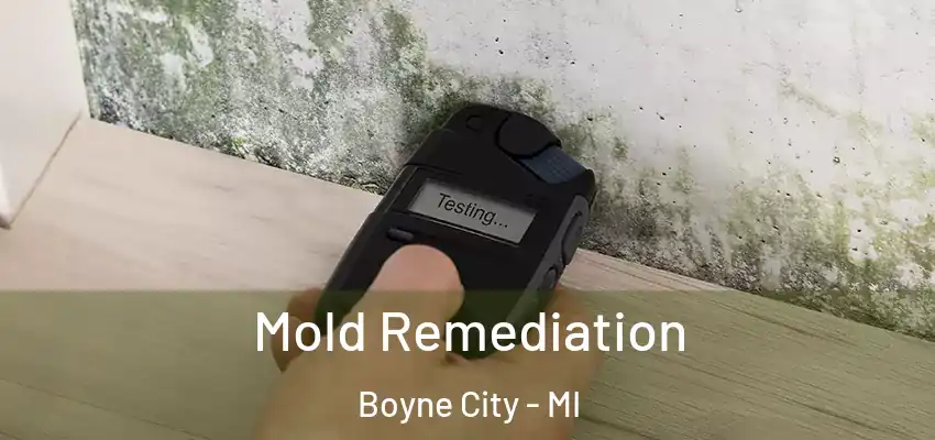  Mold Remediation Boyne City - MI