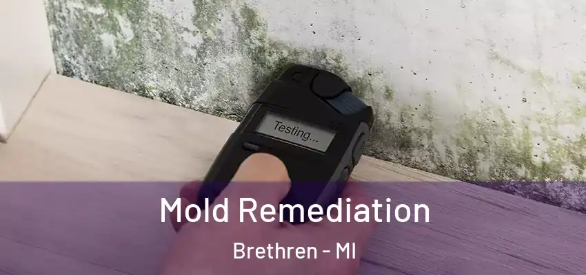  Mold Remediation Brethren - MI