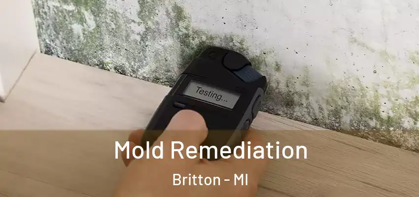  Mold Remediation Britton - MI