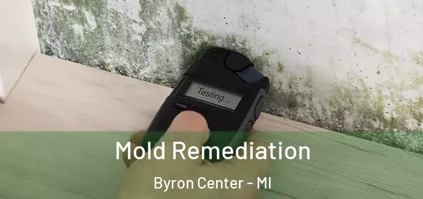  Mold Remediation Byron Center - MI
