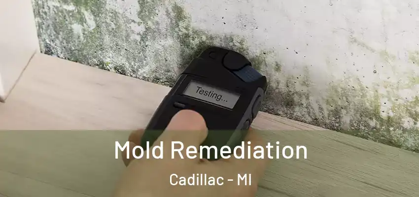  Mold Remediation Cadillac - MI