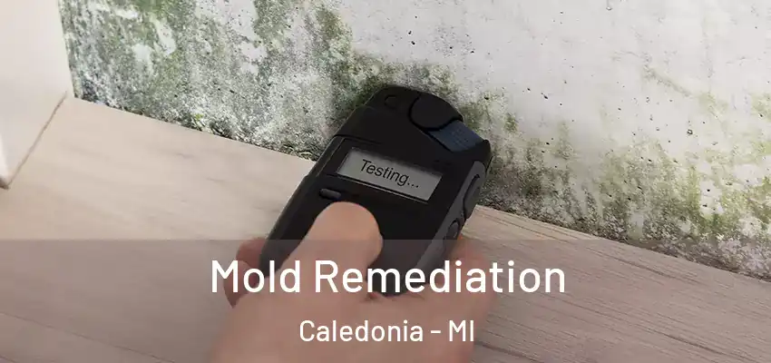  Mold Remediation Caledonia - MI