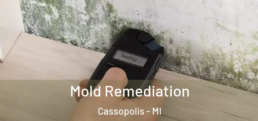  Mold Remediation Cassopolis - MI