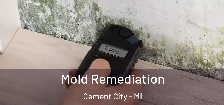  Mold Remediation Cement City - MI