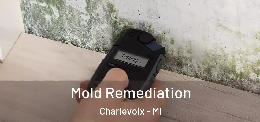  Mold Remediation Charlevoix - MI