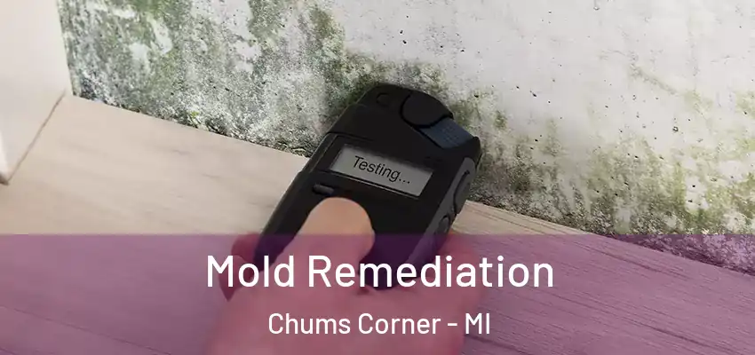  Mold Remediation Chums Corner - MI