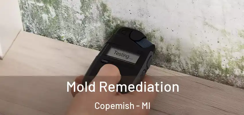  Mold Remediation Copemish - MI