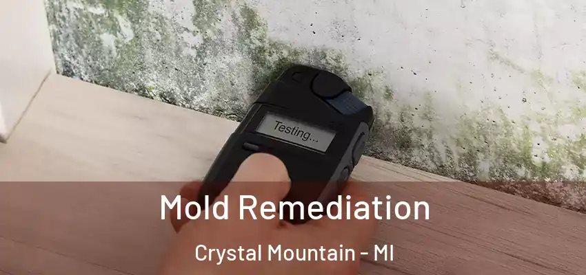  Mold Remediation Crystal Mountain - MI