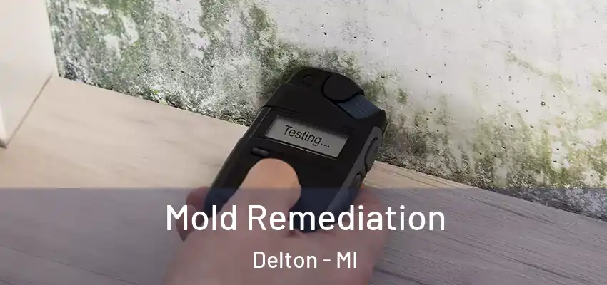  Mold Remediation Delton - MI