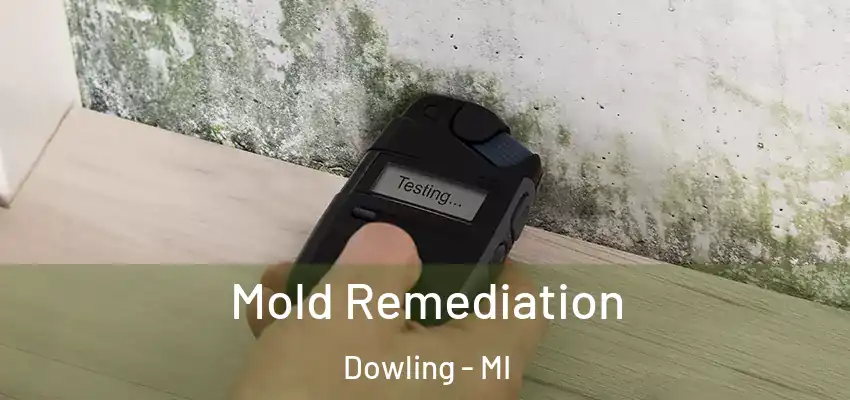  Mold Remediation Dowling - MI
