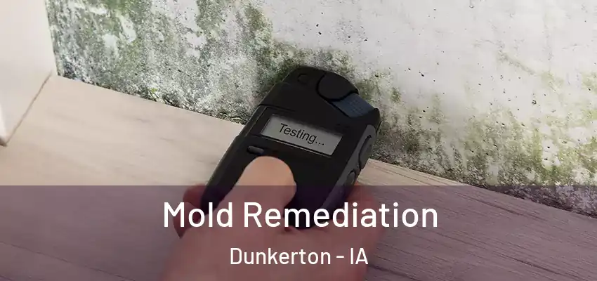  Mold Remediation Dunkerton - IA