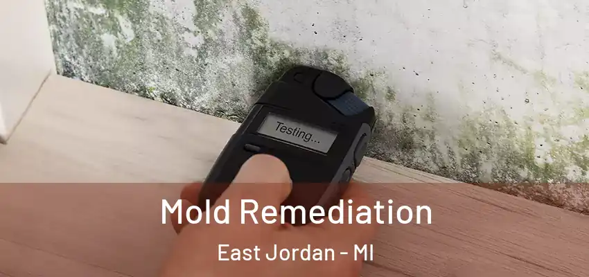  Mold Remediation East Jordan - MI