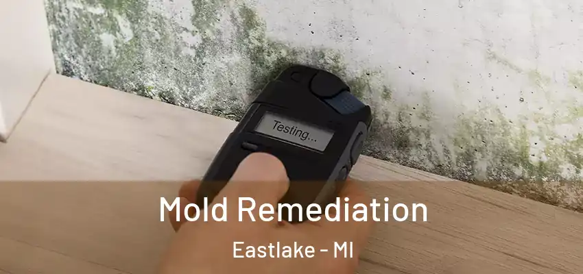 Mold Remediation Eastlake - MI