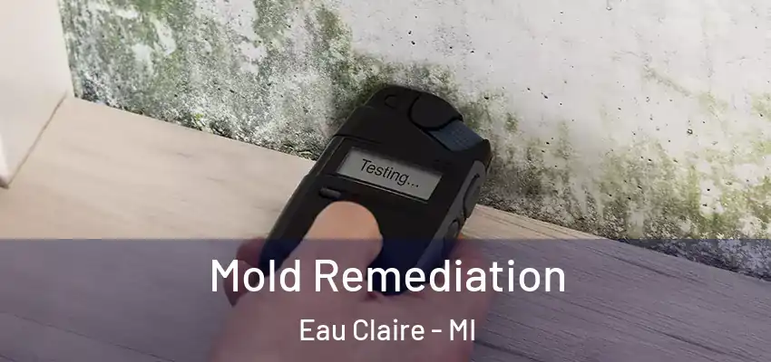 Mold Remediation Eau Claire - MI