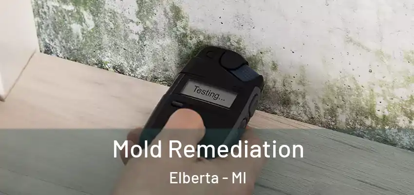 Mold Remediation Elberta - MI