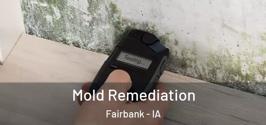  Mold Remediation Fairbank - IA