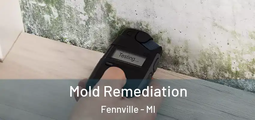  Mold Remediation Fennville - MI