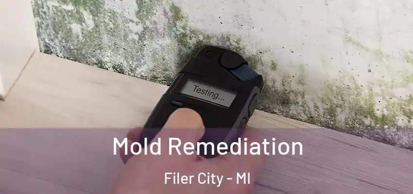  Mold Remediation Filer City - MI