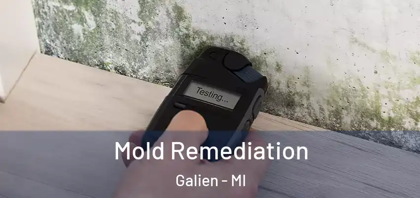  Mold Remediation Galien - MI