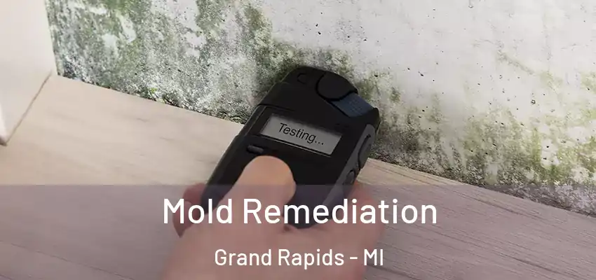  Mold Remediation Grand Rapids - MI