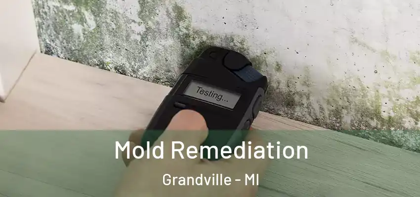  Mold Remediation Grandville - MI