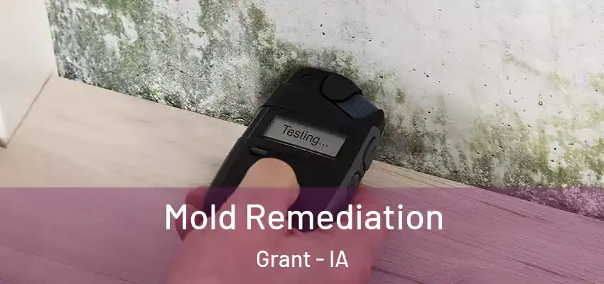 Mold Remediation Grant - IA