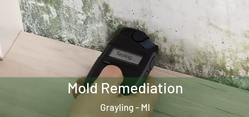 Mold Remediation Grayling - MI