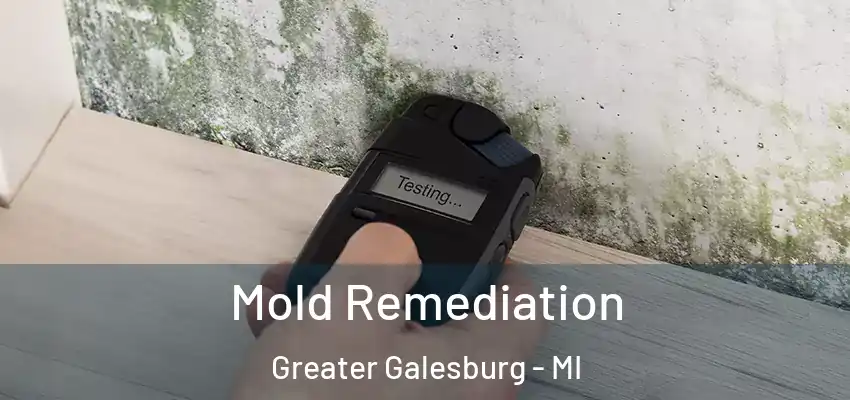  Mold Remediation Greater Galesburg - MI