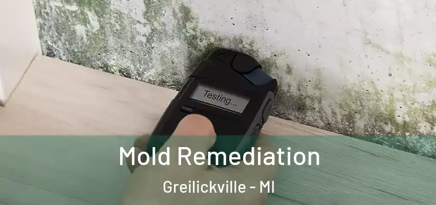  Mold Remediation Greilickville - MI