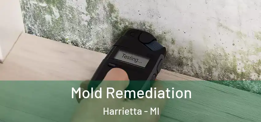 Mold Remediation Harrietta - MI