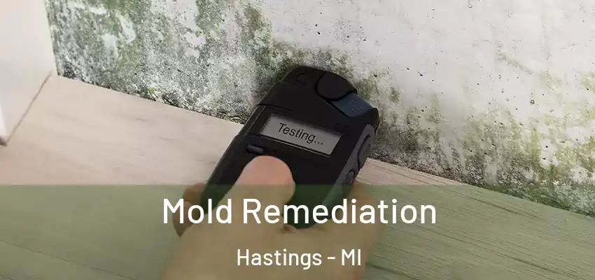  Mold Remediation Hastings - MI